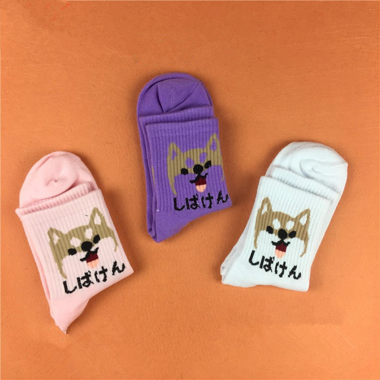 Shiba Ken Socks (3 Colours) - Ice Cream Cake